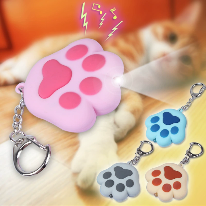 LED發(fā)光發(fā)聲鑰匙扣 (1)